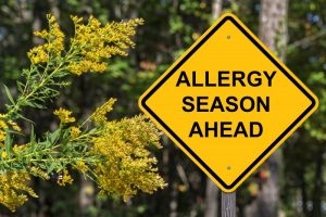 sign that says "allergy season ahead"